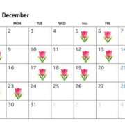 ヒメ日記 2024/12/14 14:06 投稿 まほ SUZUME