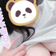 ヒメ日記 2025/01/27 20:56 投稿 ちか 千葉人妻花壇