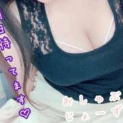 ヒメ日記 2025/04/14 21:13 投稿 ちか 千葉人妻花壇