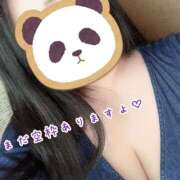 ヒメ日記 2025/05/31 10:31 投稿 ちか 千葉人妻花壇