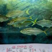 ヒメ日記 2025/02/05 19:13 投稿 大内 MadameRest(マダムレスト)