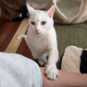 ヒメ日記 2025/02/15 14:14 投稿 大内 MadameRest(マダムレスト)