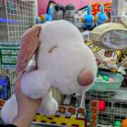 ヒメ日記 2025/02/20 14:11 投稿 大内 MadameRest(マダムレスト)