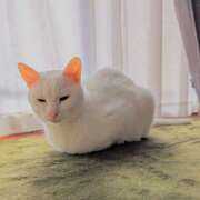 ヒメ日記 2025/02/21 14:09 投稿 大内 MadameRest(マダムレスト)