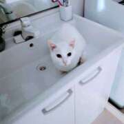 ヒメ日記 2025/02/23 11:11 投稿 大内 MadameRest(マダムレスト)