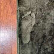 ヒメ日記 2025/02/24 14:11 投稿 大内 MadameRest(マダムレスト)