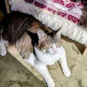 ヒメ日記 2025/02/28 14:13 投稿 大内 MadameRest(マダムレスト)