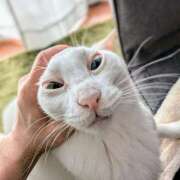 ヒメ日記 2025/03/04 14:03 投稿 大内 MadameRest(マダムレスト)