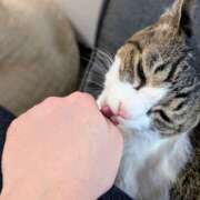 ヒメ日記 2025/03/05 14:13 投稿 大内 MadameRest(マダムレスト)