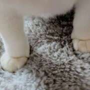 ヒメ日記 2025/03/06 14:08 投稿 大内 MadameRest(マダムレスト)