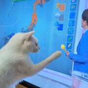 ヒメ日記 2025/03/12 14:14 投稿 大内 MadameRest(マダムレスト)