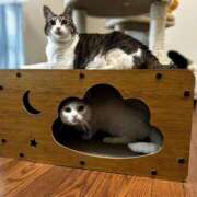 ヒメ日記 2025/03/20 14:20 投稿 大内 MadameRest(マダムレスト)