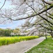 ヒメ日記 2025/03/21 14:16 投稿 大内 MadameRest(マダムレスト)