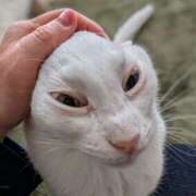 ヒメ日記 2025/03/22 14:13 投稿 大内 MadameRest(マダムレスト)