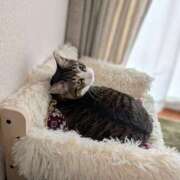 ヒメ日記 2025/03/24 14:18 投稿 大内 MadameRest(マダムレスト)