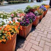 ヒメ日記 2025/03/26 12:29 投稿 大内 MadameRest(マダムレスト)