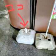 ヒメ日記 2025/04/01 14:30 投稿 大内 MadameRest(マダムレスト)