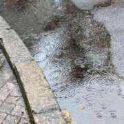 ヒメ日記 2025/04/03 14:11 投稿 大内 MadameRest(マダムレスト)