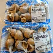 ヒメ日記 2025/04/08 16:15 投稿 大内 MadameRest(マダムレスト)