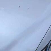 ヒメ日記 2025/04/12 15:18 投稿 大内 MadameRest(マダムレスト)