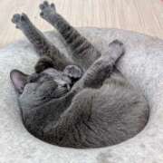 ヒメ日記 2025/04/16 14:05 投稿 大内 MadameRest(マダムレスト)