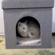 ヒメ日記 2025/04/17 14:13 投稿 大内 MadameRest(マダムレスト)