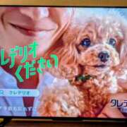 ヒメ日記 2025/04/25 14:14 投稿 大内 MadameRest(マダムレスト)