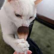 ヒメ日記 2025/04/26 14:11 投稿 大内 MadameRest(マダムレスト)