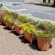 ヒメ日記 2025/05/01 14:12 投稿 大内 MadameRest(マダムレスト)