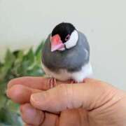 ヒメ日記 2025/05/07 14:56 投稿 大内 MadameRest(マダムレスト)