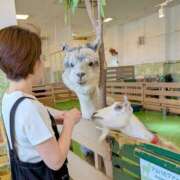 ヒメ日記 2025/05/07 15:15 投稿 大内 MadameRest(マダムレスト)