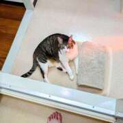 ヒメ日記 2025/05/09 14:10 投稿 大内 MadameRest(マダムレスト)