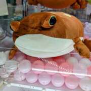 ヒメ日記 2025/05/14 21:38 投稿 大内 MadameRest(マダムレスト)