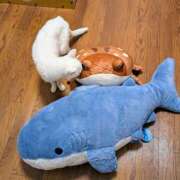 ヒメ日記 2025/05/15 02:20 投稿 大内 MadameRest(マダムレスト)