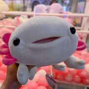 ヒメ日記 2025/05/23 00:28 投稿 大内 MadameRest(マダムレスト)