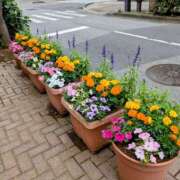 ヒメ日記 2025/05/29 14:12 投稿 大内 MadameRest(マダムレスト)