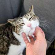 ヒメ日記 2025/05/31 14:15 投稿 大内 MadameRest(マダムレスト)