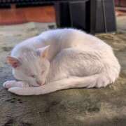 ヒメ日記 2025/06/02 14:13 投稿 大内 MadameRest(マダムレスト)