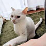 ヒメ日記 2025/06/08 14:13 投稿 大内 MadameRest(マダムレスト)