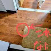 ヒメ日記 2025/06/11 17:44 投稿 大内 MadameRest(マダムレスト)