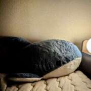 ヒメ日記 2025/06/12 00:50 投稿 大内 MadameRest(マダムレスト)