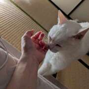 ヒメ日記 2025/06/14 14:11 投稿 大内 MadameRest(マダムレスト)