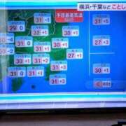 ヒメ日記 2025/06/16 14:13 投稿 大内 MadameRest(マダムレスト)