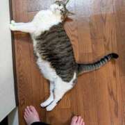 ヒメ日記 2025/06/18 23:12 投稿 大内 MadameRest(マダムレスト)