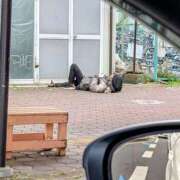 ヒメ日記 2025/06/23 15:05 投稿 大内 MadameRest(マダムレスト)