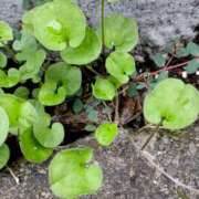 ヒメ日記 2025/06/26 14:11 投稿 大内 MadameRest(マダムレスト)