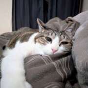 ヒメ日記 2025/07/03 14:13 投稿 大内 MadameRest(マダムレスト)