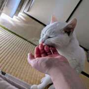 ヒメ日記 2025/07/06 13:55 投稿 大内 MadameRest(マダムレスト)