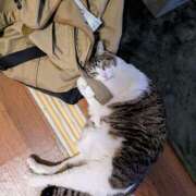 ヒメ日記 2025/07/08 14:13 投稿 大内 MadameRest(マダムレスト)