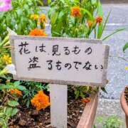 ヒメ日記 2025/07/12 14:11 投稿 大内 MadameRest(マダムレスト)